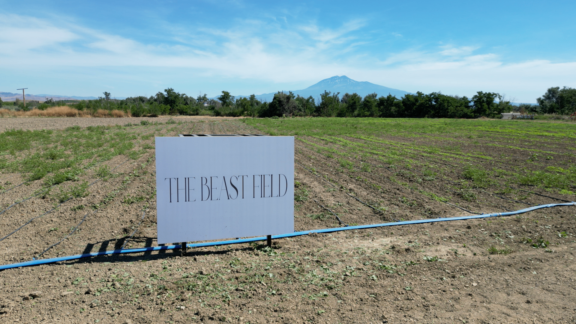 The Beast Field sign in Sicily
