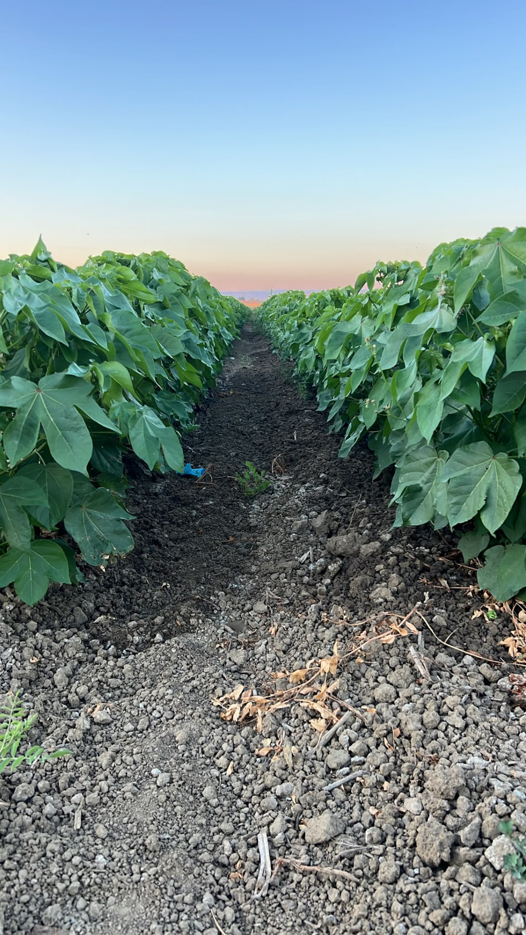 Field update 07 — Field Update 07
